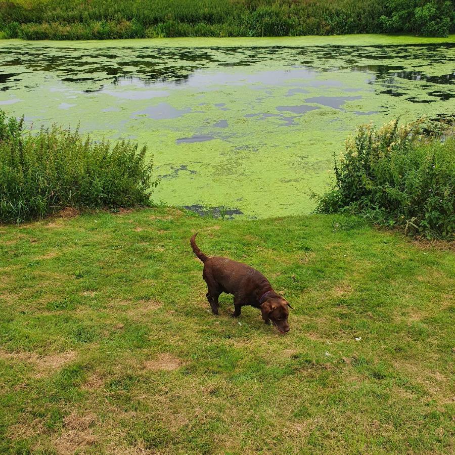 Alfie'S House Hotel Lincoln Luaran gambar